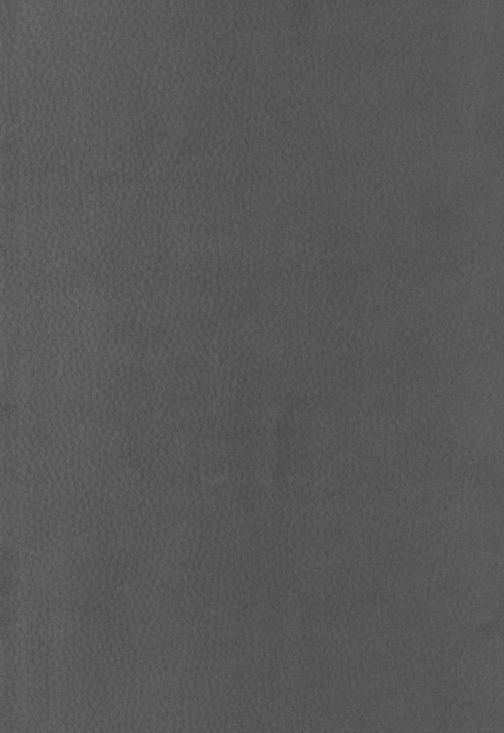 tissu-gris-scarlet-45-canape