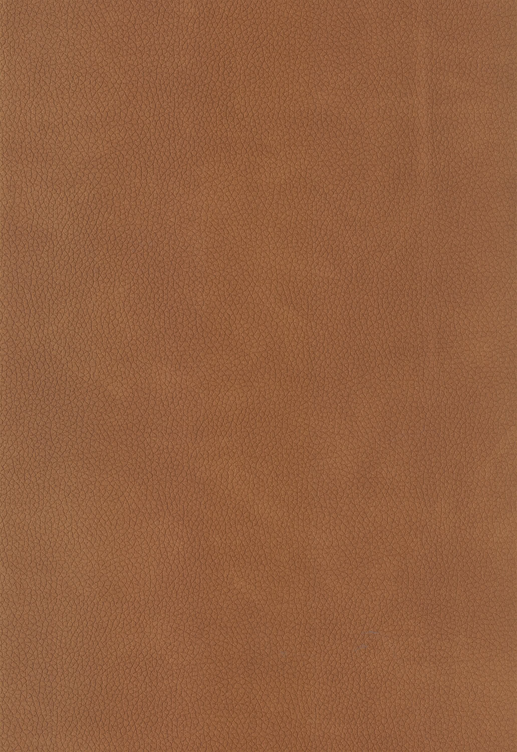 tissu-orange-massa-150-canape